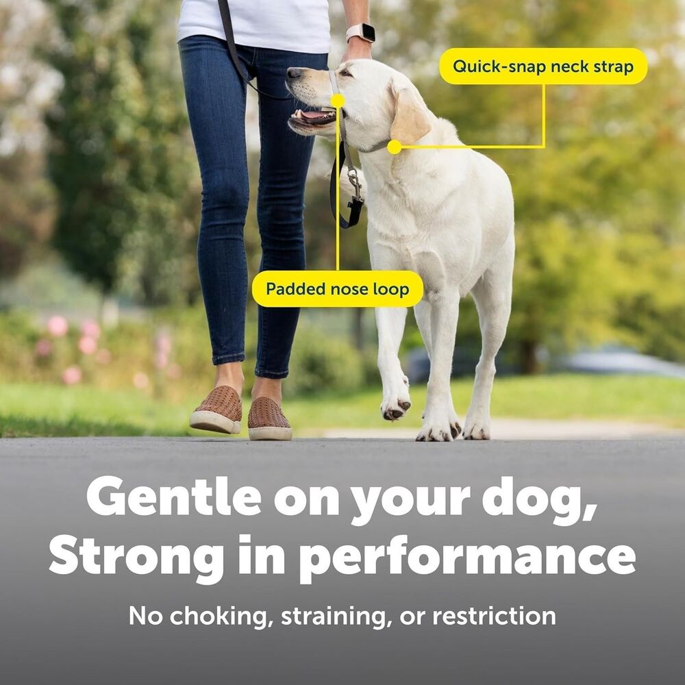 New☆ PetSafe Gentle Leader No-Pull Dog Headcollar Large 60-130lbs Black Training - Picture 9 of 12